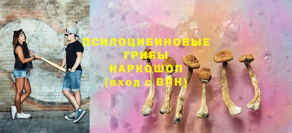 бошки Алзамай