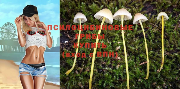 бошки Алзамай