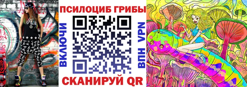 Галлюциногенные грибы Psilocybe  Заинск 